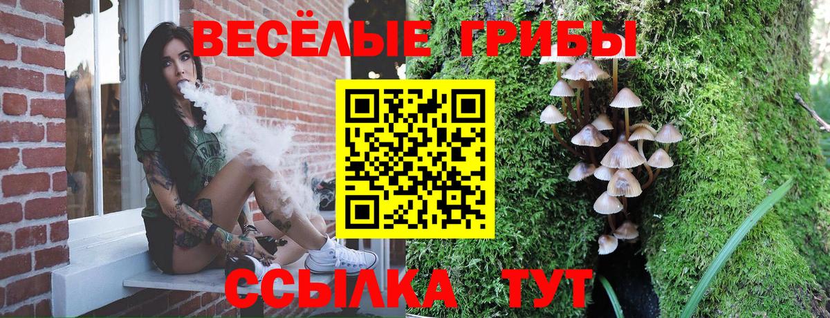 Галлюциногенные грибы MAGIC MUSHROOMS  Вход с VPN  купить   Луга 
