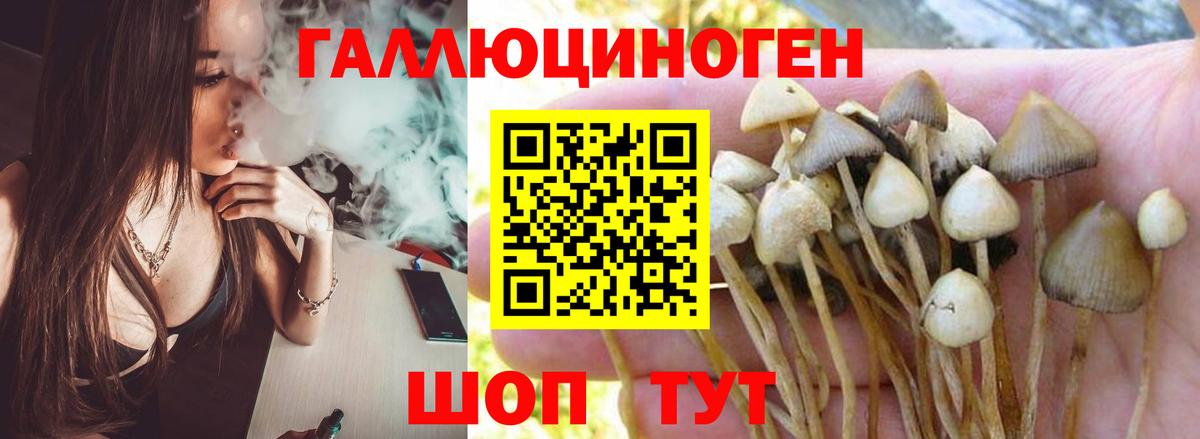 Галлюциногенные грибы мухоморы Луга